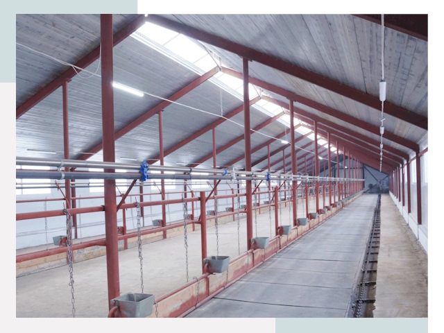 Строительство коровников в Лесозаводске от 620 руб.