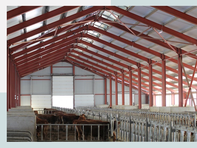 Строительство коровников в Лесозаводске