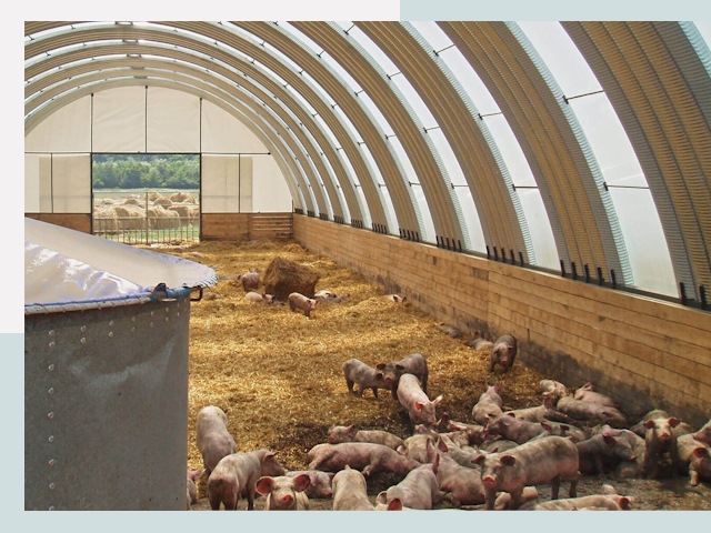 Строительство свинарников в Лесозаводске