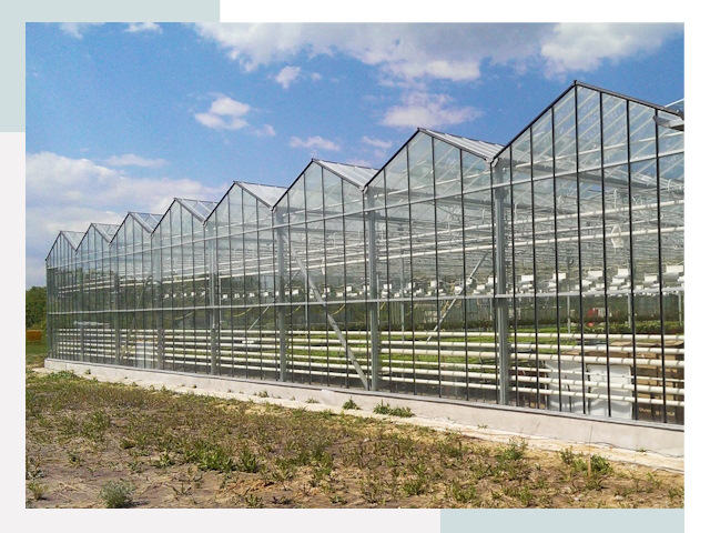 Строительство теплиц в Лесозаводск от 620 руб. за м²