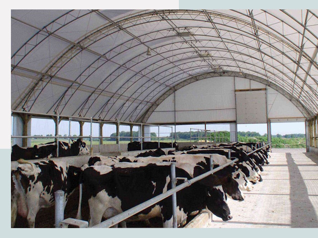 Тентовые коровники в Лесозаводске